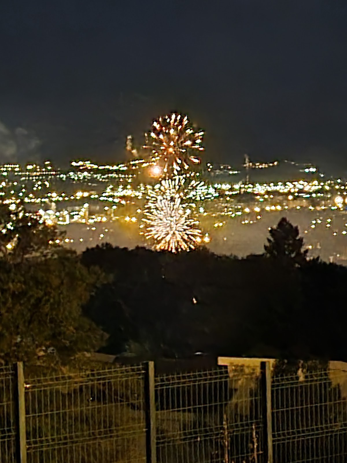 Sainte-Foy-lès-Lyon