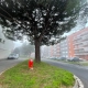Colomiers