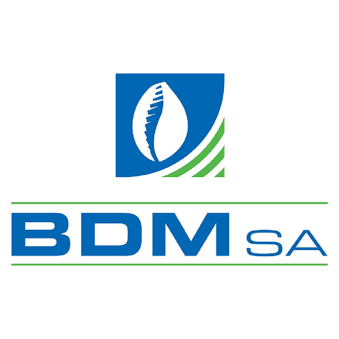 Logo de BDM